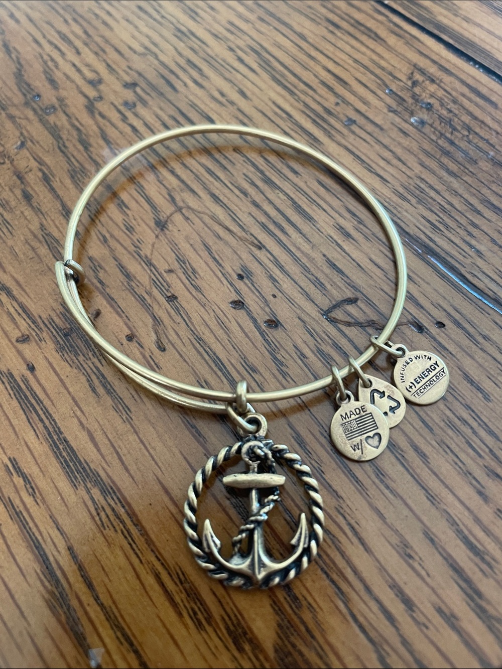 Alex and Ani Gold-Tone Anchor Charm Bangle Bracelet